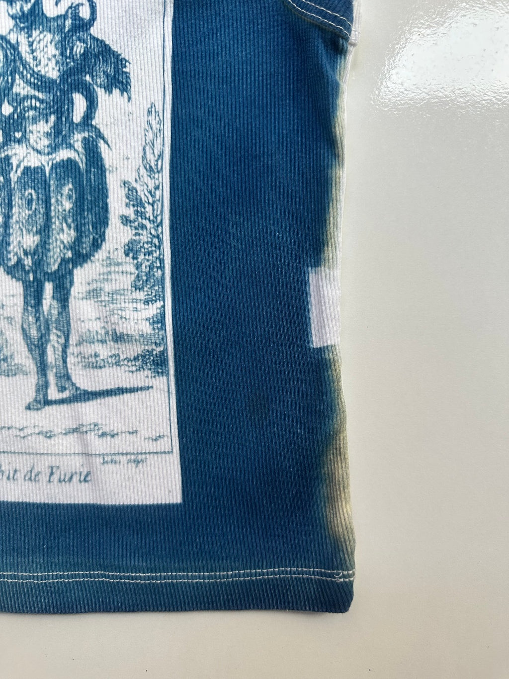 Habit Cyanotype Crop Top Sale 8