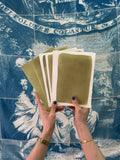 DIY Cyanotype Kit - 6 Pre-Coated A5/A6 Sun Print Papers, 2 Transparencies & Guide